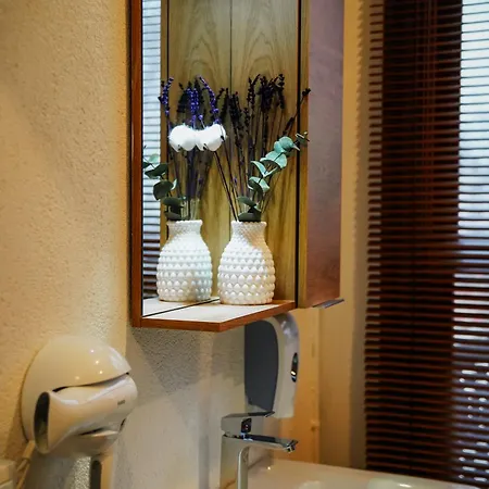 Hotel Leila Mansion *