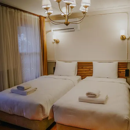 Hotel Leila Mansion *