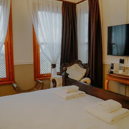 فندق Leila Mansion